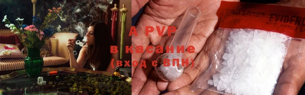 амф Пересвет