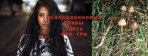 прущий лед Покровск