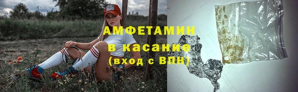 амф Пересвет