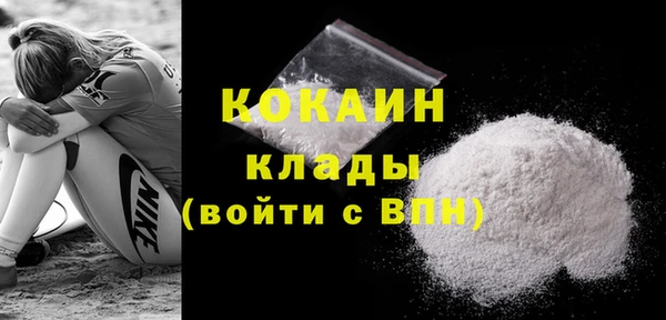 твердый Пестово