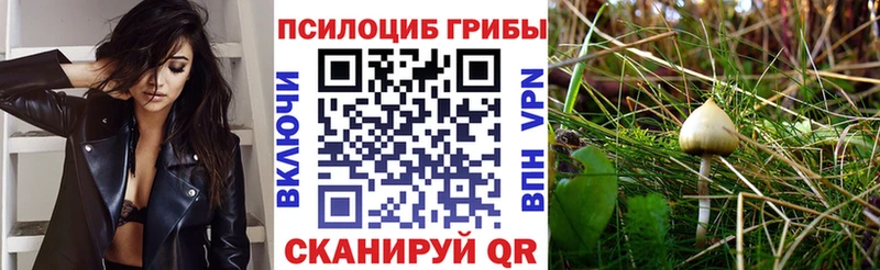 Галлюциногенные грибы мицелий  Ак-Довурак 